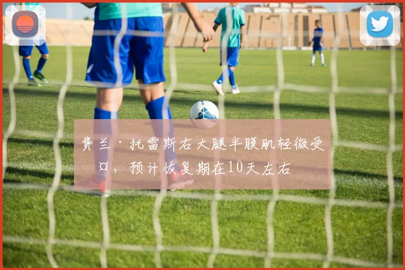 费兰·托雷斯右大腿半膜肌轻微受伤,预计恢复期在10天左右