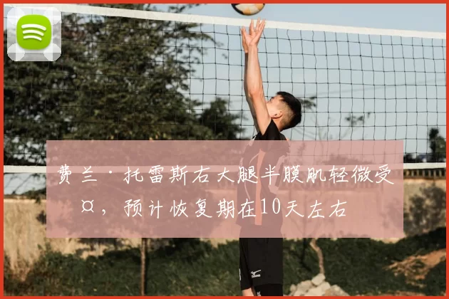 费兰·托雷斯右大腿半膜肌轻微受伤,预计恢复期在10天左右