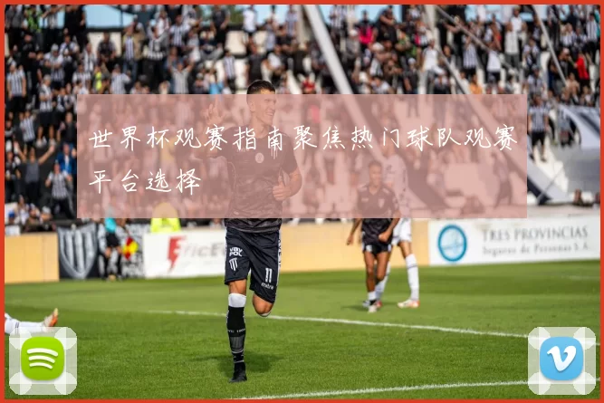 世界杯观赛指南聚焦热门球队观赛平台选择