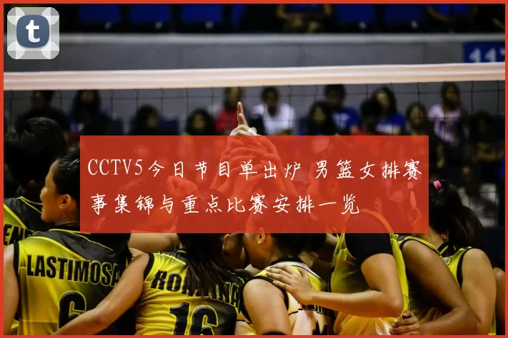 CCTV5今日节目单出炉 男篮女排赛事集锦与重点比赛安排一览