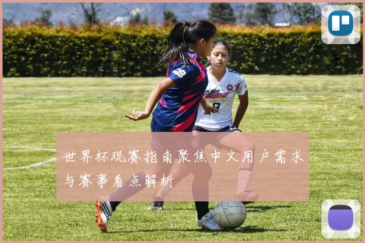世界杯观赛指南聚焦中文用户需求与赛事看点解析