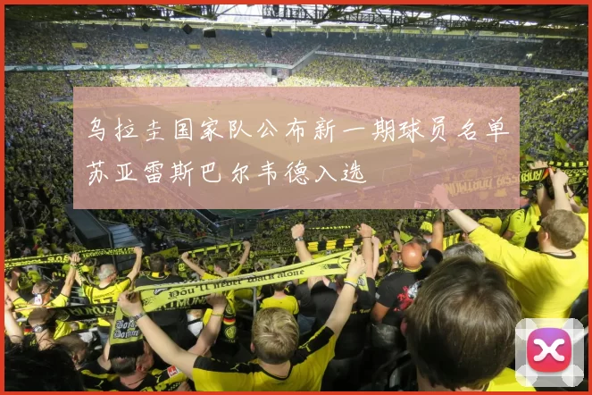 乌拉圭国家队公布新一期球员名单苏亚雷斯巴尔韦德入选