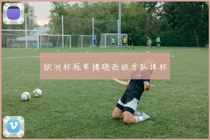 欧洲杯冠军揭晓西班牙队捧杯