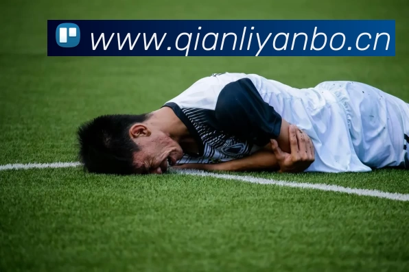 星空入口网页版登录品牌故事