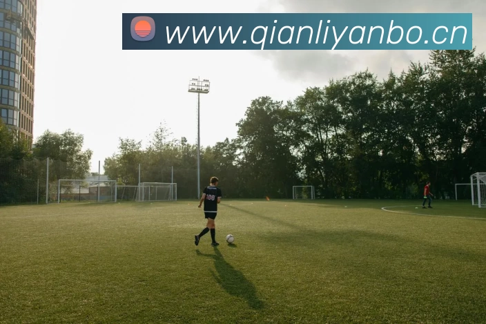 星空入口网页版登录服务体系